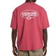 DICKIES AVONDALE TEE SS ΜΠΛΟΥΖΑ ΑΝΔΡΑΣ DICKIES AVONDALE TEE SS ΜΠΛΟΥΖΑ ΑΝΔΡΑΣ