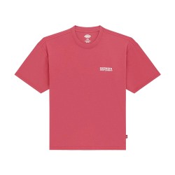 DICKIES AVONDALE TEE SS ΜΠΛΟΥΖΑ ΑΝΔΡΑΣ