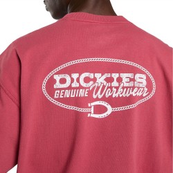 DICKIES AVONDALE TEE SS ΜΠΛΟΥΖΑ ΑΝΔΡΑΣ