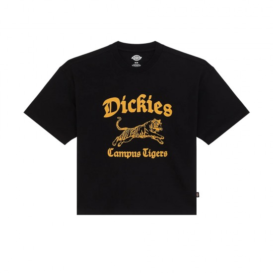 DICKIES APALACHICOLSA TEE SS ΜΠΛΟΥΖΑ ΑΝΔΡΑΣ