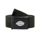 DICKIES ORCUTT BELT
