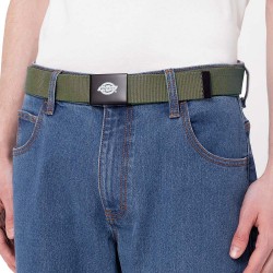 DICKIES ORCUTT BELT