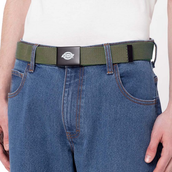 DICKIES ORCUTT BELT
