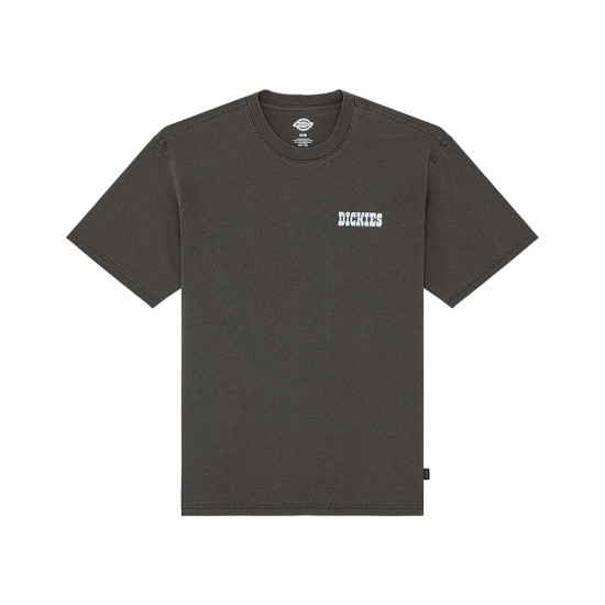 DICKIES BUCHTELL SS TEE ΜΠΛΟΥΖΑ ΑΝΔΡΑΣ