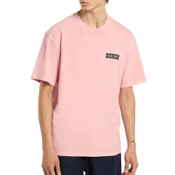 DICKIES BUCHTELL SS TEE ΜΠΛΟΥΖΑ ΑΝΔΡΑΣ