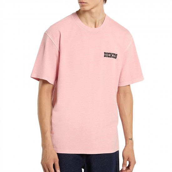DICKIES BUCHTELL SS TEE ΜΠΛΟΥΖΑ ΑΝΔΡΑΣ