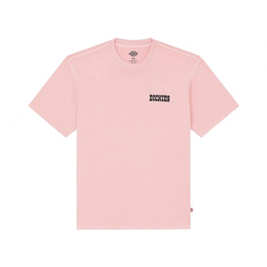 DICKIES BUCHTELL SS TEE ΜΠΛΟΥΖΑ ΑΝΔΡΑΣ
