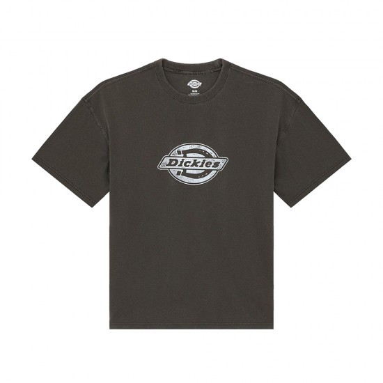 DICKIES PLAINVILLE TEE SS