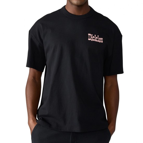 DICKIES POLK TEE SS ΜΠΛΟΥΖΑ ΑΝΔΡΑΣ DICKIES POLK TEE SS ΜΠΛΟΥΖΑ ΑΝΔΡΑΣ