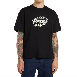 DICKIES IRONDALE TEE SS ΜΠΛΟΥΖΑ ΑΝΔΡΑΣ