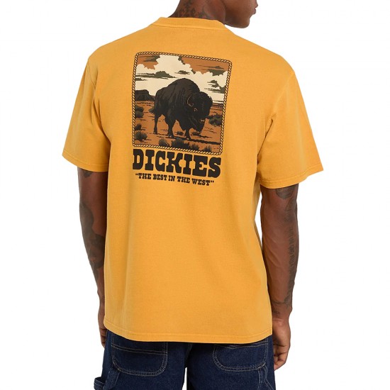 DICKIES DARRTOWN TEE SS ΜΠΛΟΥΖΑ ΑΝΔΡΑΣ