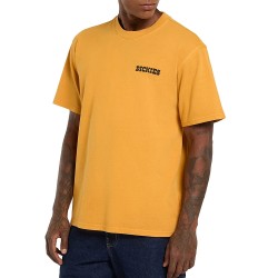 DICKIES DARRTOWN TEE SS ΜΠΛΟΥΖΑ ΑΝΔΡΑΣ