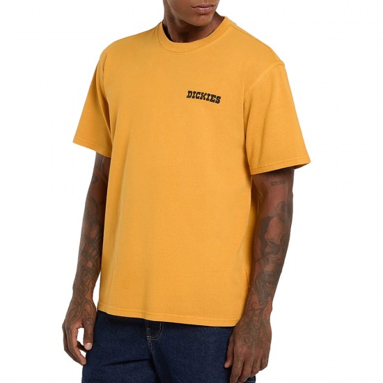 DICKIES DARRTOWN TEE SS ΜΠΛΟΥΖΑ ΑΝΔΡΑΣ