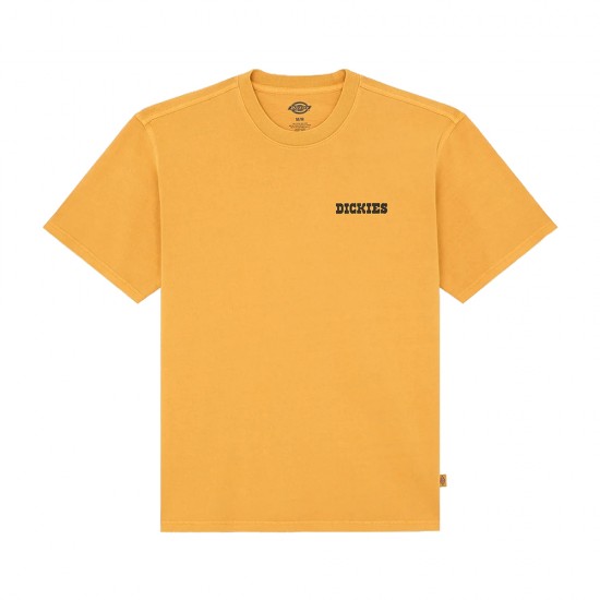 DICKIES DARRTOWN TEE SS ΜΠΛΟΥΖΑ ΑΝΔΡΑΣ