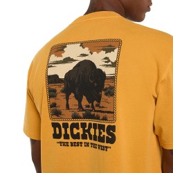 DICKIES DARRTOWN TEE SS ΜΠΛΟΥΖΑ ΑΝΔΡΑΣ