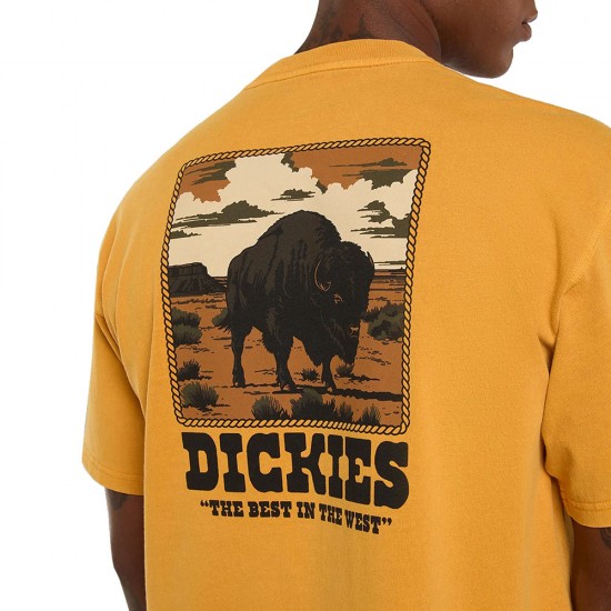 DICKIES DARRTOWN TEE SS ΜΠΛΟΥΖΑ ΑΝΔΡΑΣ