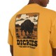 DICKIES DARRTOWN TEE SS ΜΠΛΟΥΖΑ ΑΝΔΡΑΣ