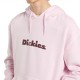 DICKIES SLAYDEN GD HOODIE
