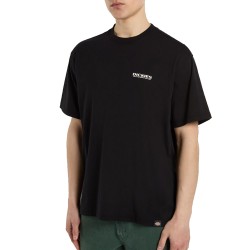 DICKIES BURNS TEE SS