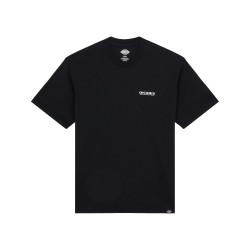 DICKIES BURNS TEE SS