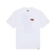 DICKIES GRAYSVILLE TEE SS