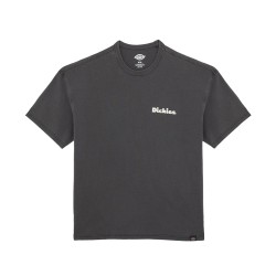 DICKIES SLAYDEN GD SS TEE