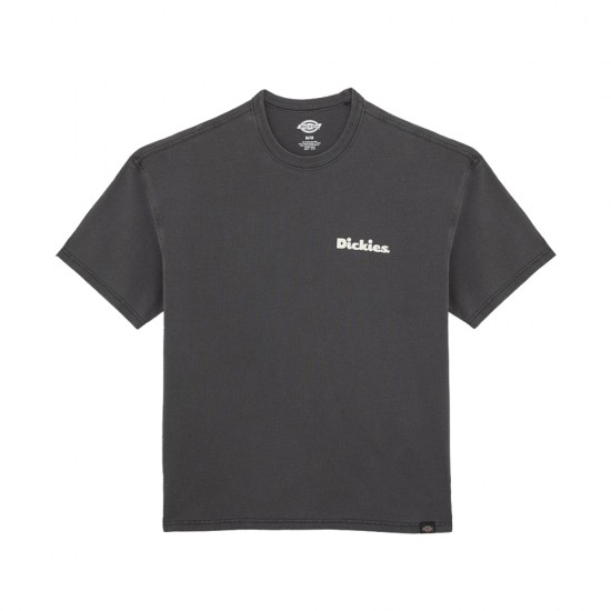 DICKIES SLAYDEN GD SS TEE