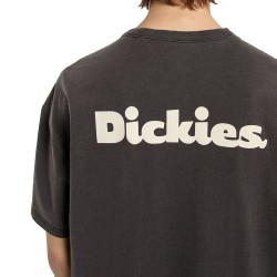 DICKIES SLAYDEN GD SS TEE