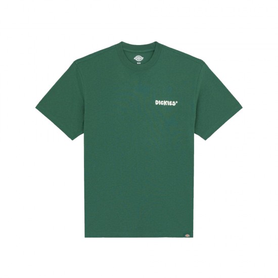 DICKIES GORDONSVILLE SS TEE