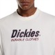 DICKIES WILLISTON TEE SS