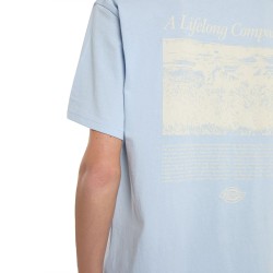 DICKIES COMPANION SCRIPT TEE SS ΜΠΛΟΥΖΑ ΑΝΔΡΑΣ