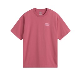 VANS EARTHBOUND LOOSE TEE SS